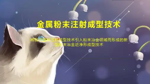 金属粉末注射成型技术