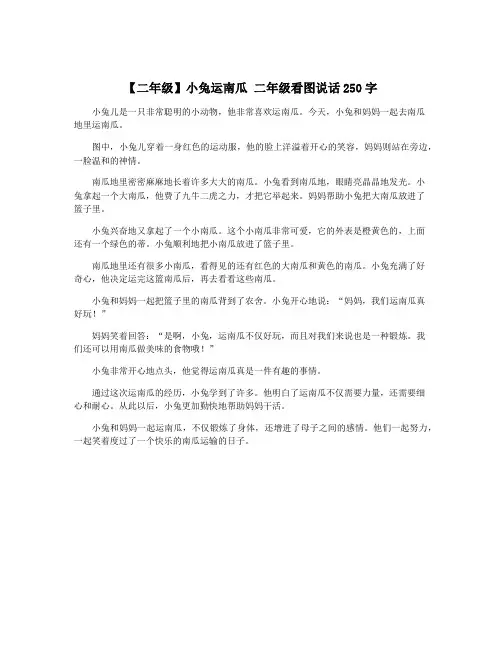 【二年级】小兔运南瓜 二年级看图说话250字