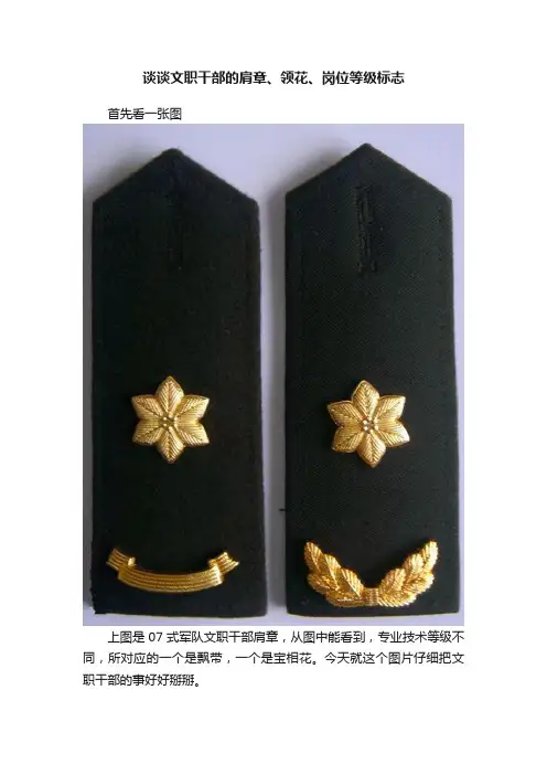 谈谈文职干部的肩章、领花、岗位等级标志