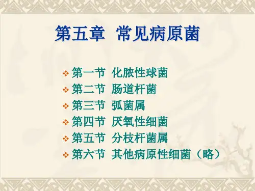 第五章常见病原菌