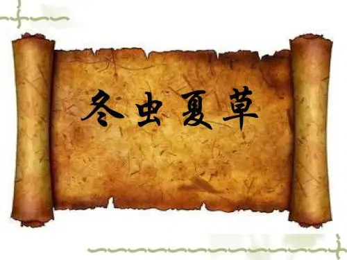 冬虫夏草