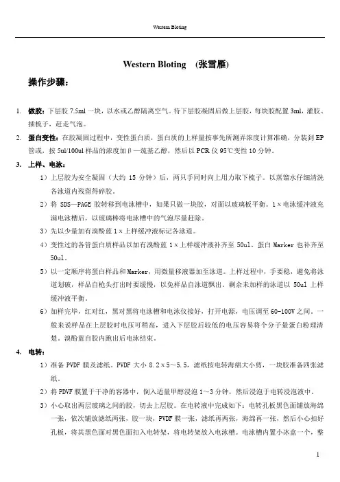 Western Blotting Protocol-中山大学(参考)