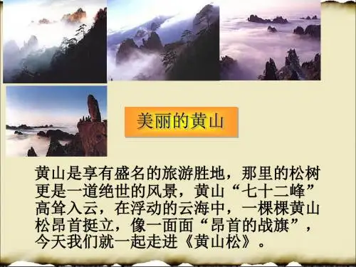 六上《黄山松》ppt课件全面版