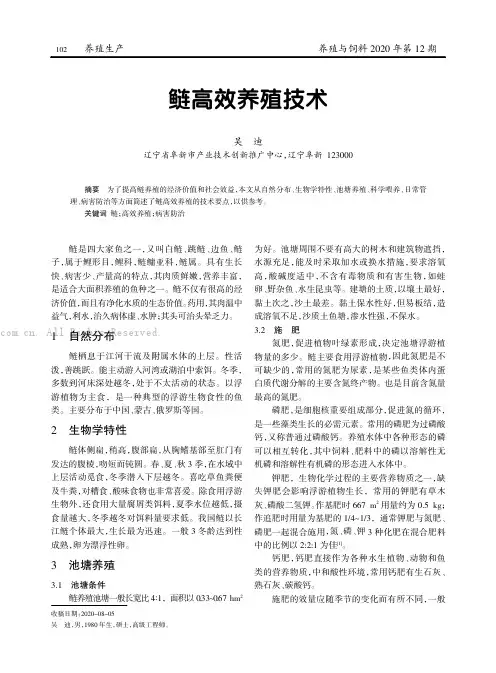 鲢高效养殖技术