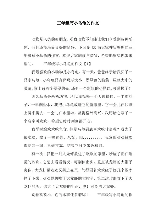 三年级写小乌龟的作文