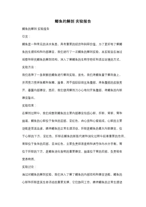 鲫鱼的解剖 实验报告