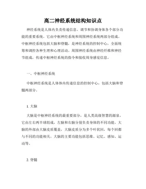 高二神经系统结构知识点