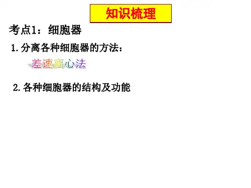 细胞器及生物膜系统一轮复习ppt课件
