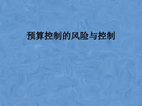 预算控制的风险与控制