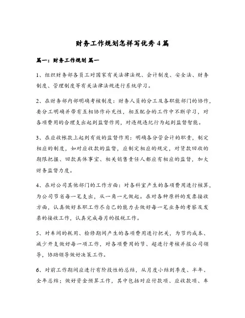 财务工作规划怎样写优秀4篇
