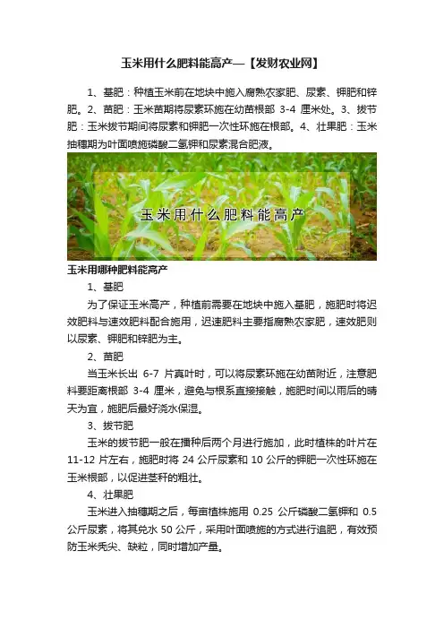 玉米用什么肥料能高产—【发财农业网】