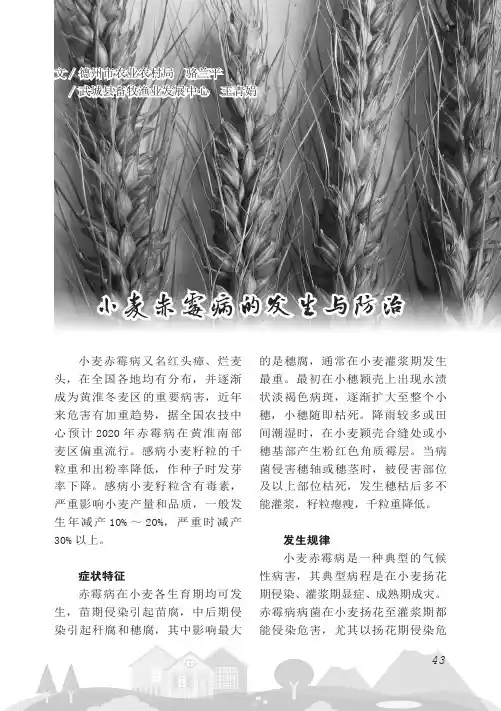小麦赤霉病的发生与防治