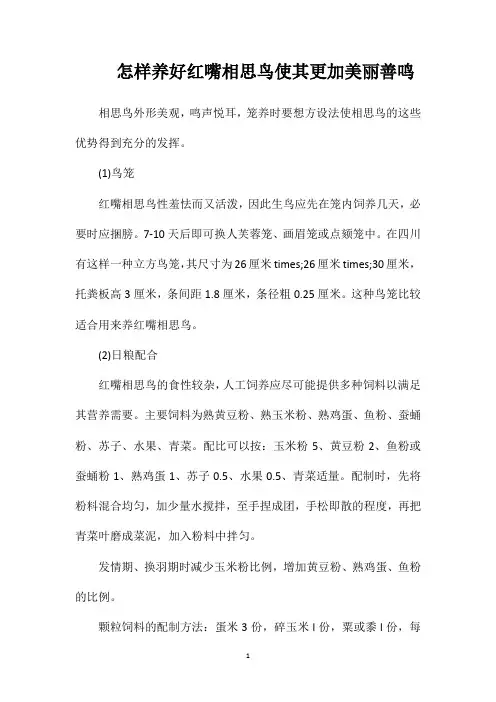 怎样养好红嘴相思鸟使其更加美丽善鸣