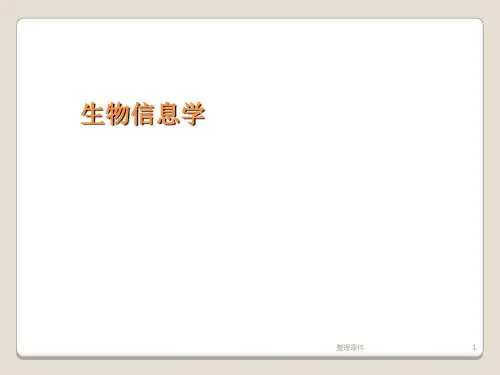 生物信息学研究生ppt课件