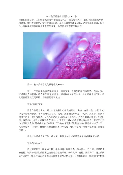 初三关于看见的话题作文600字 