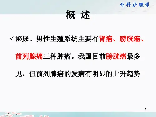 泌尿男性生殖系统肿瘤病人的护理PPT课件