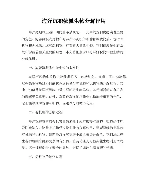 海洋沉积物微生物分解作用