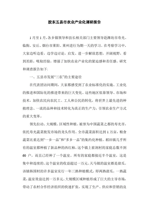 胶东五县市农业产业化调研报告.doc