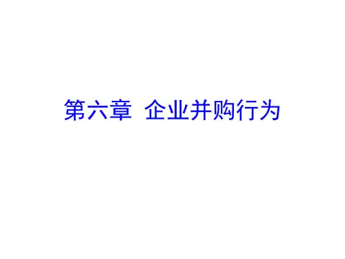 第六章 企业并购行为