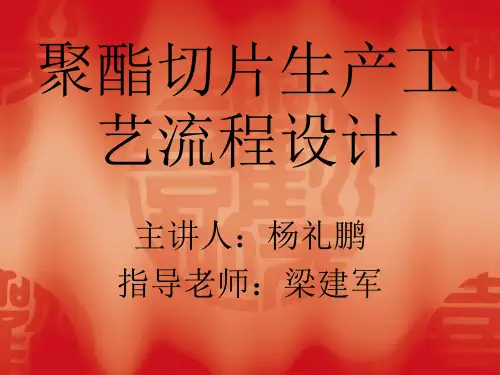 聚酯切片生产工艺