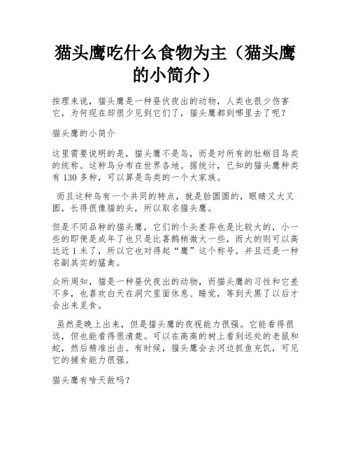 猫头鹰吃什么食物为主(猫头鹰的小简介) 