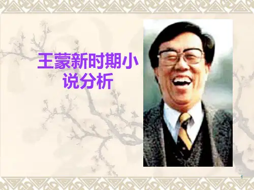 王蒙意识流小说PPT课件