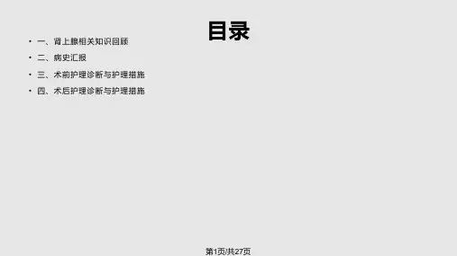 肾上腺占位护理查房PPT课件