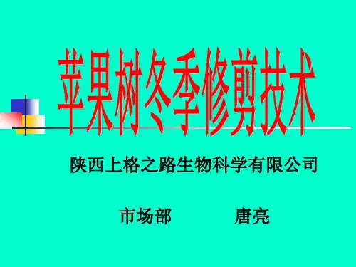 苹果树冬季修剪技术