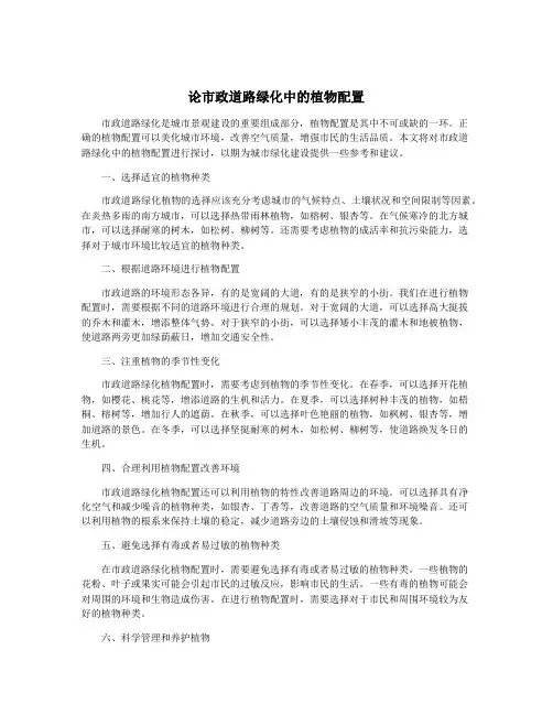 论市政道路绿化中的植物配置