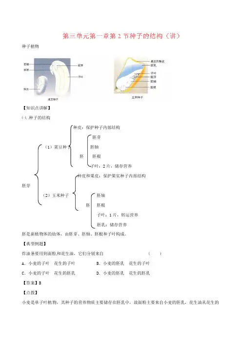 七年级生物上册 专题3.1.2 种子的结构(讲)(含解析) 新人教版