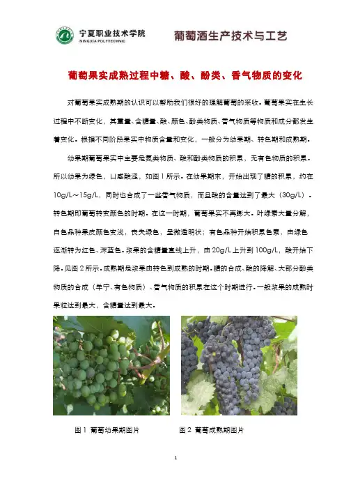 297-名词术语-葡萄果实成熟过程中糖、酸、酚类、香气物质的变化
