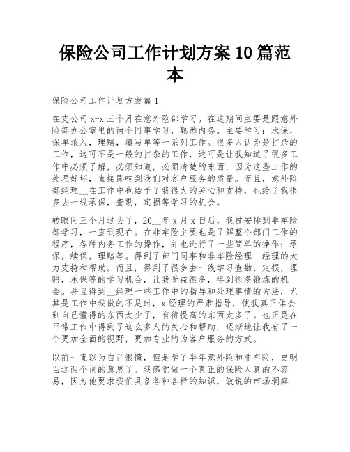 保险公司工作计划方案10篇范本
