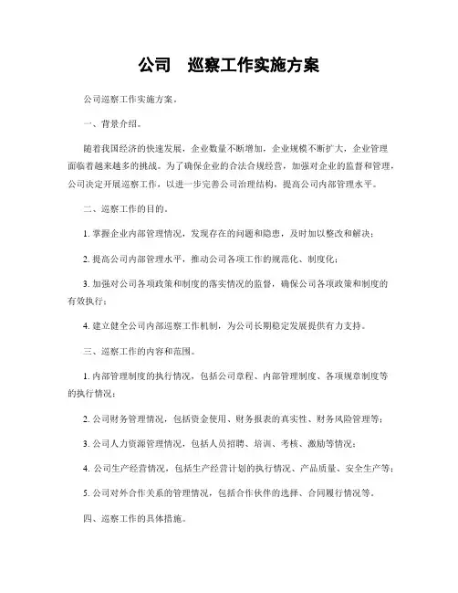 公司  巡察工作实施方案