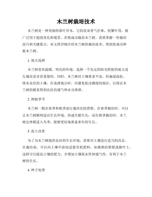 木兰树栽培技术