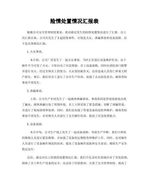 险情处置情况汇报表