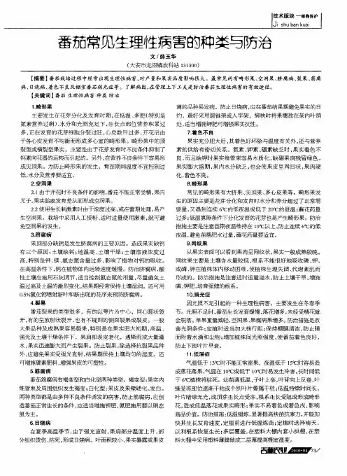 番茄常见生理性病害的种类与防治