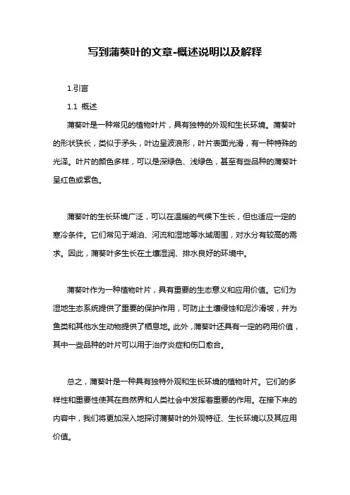 写到蒲葵叶的文章-概述说明以及解释