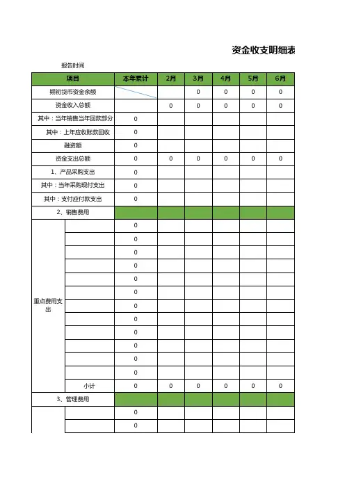 资金收支明细表