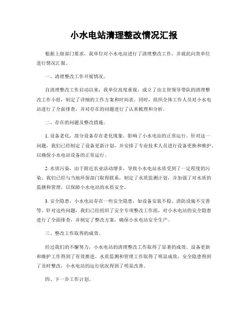 小水电站清理整改情况汇报