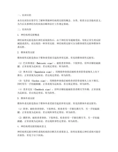 神经病理反射的实训报告