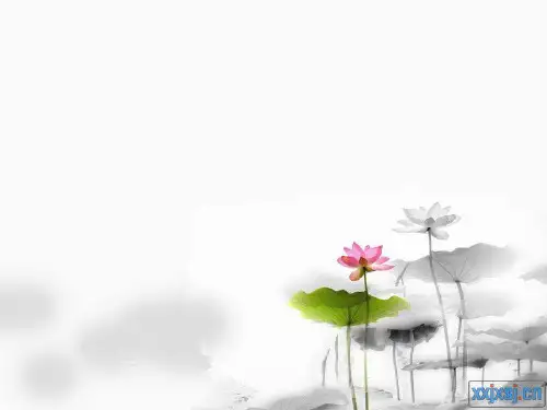 古香古韵古诗文,且品且描且芬芳——古诗词扩写训练 PPT课件