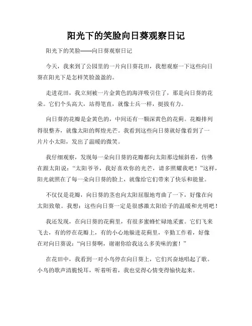  小学三年级作文阳光下的笑脸向日葵观察日记
