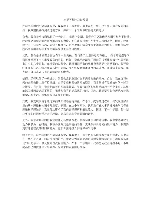 小提琴期末总结反思