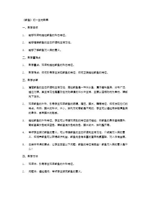 《鲫鱼》初一生物教案：教学中如何引导学生观察和描述鲫鱼的形态特征