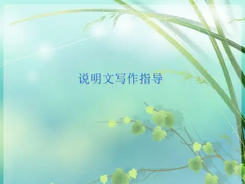 初中语文作文 PPT课件 图文