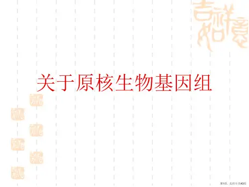 原核生物基因组