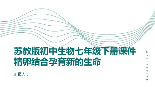 苏教版初中生物七年级下册课件精卵结合孕育新的生命