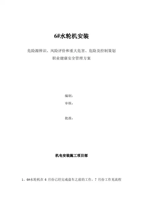 6#水轮机安装职业健康安全管理方案