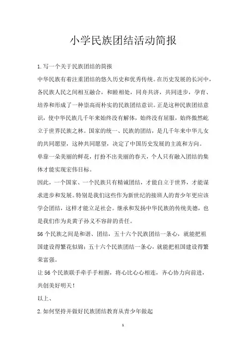 小学民族团结活动简报