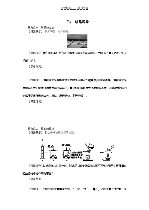 粤教版化学九下7.4《结晶现象》word学案